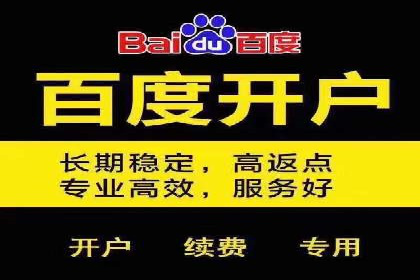 百度广告推广案例：品牌增长之道